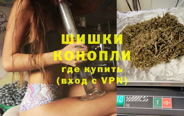 индика Белокуриха